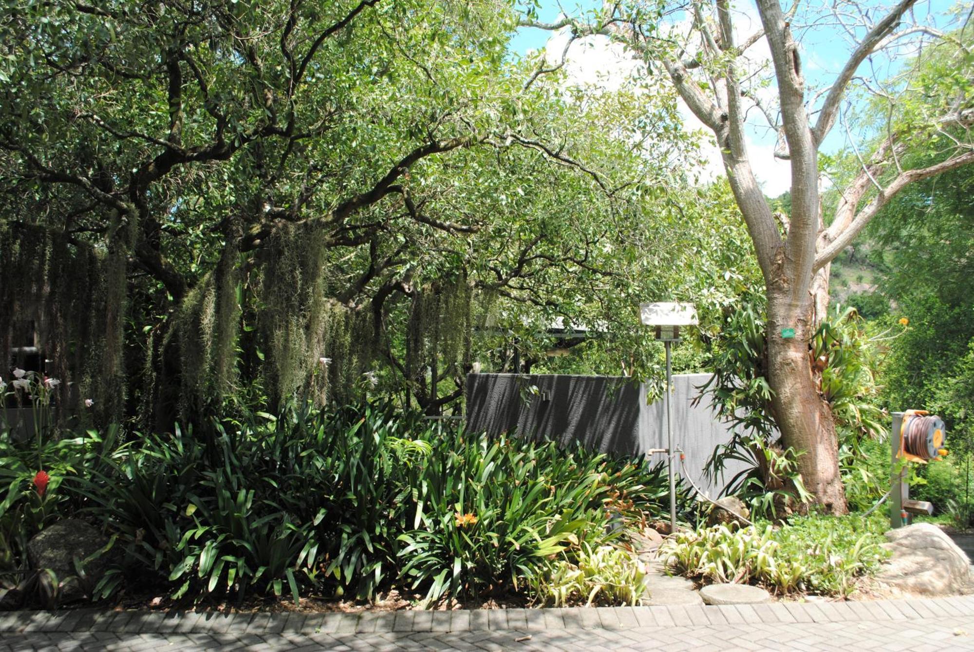 Birds Babble Self Catering Hotel Mbombela Exterior photo