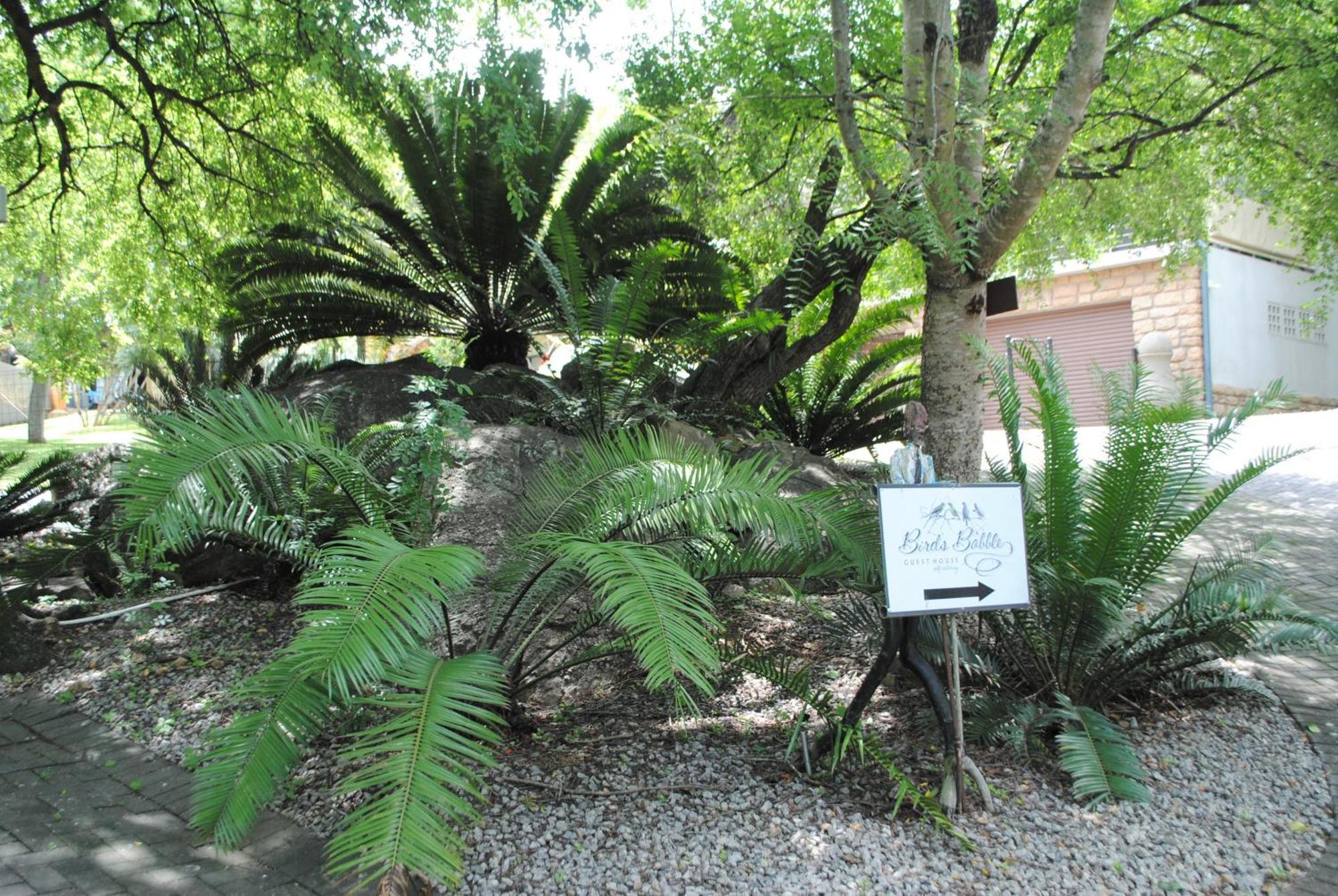 Birds Babble Self Catering Hotel Mbombela Exterior photo